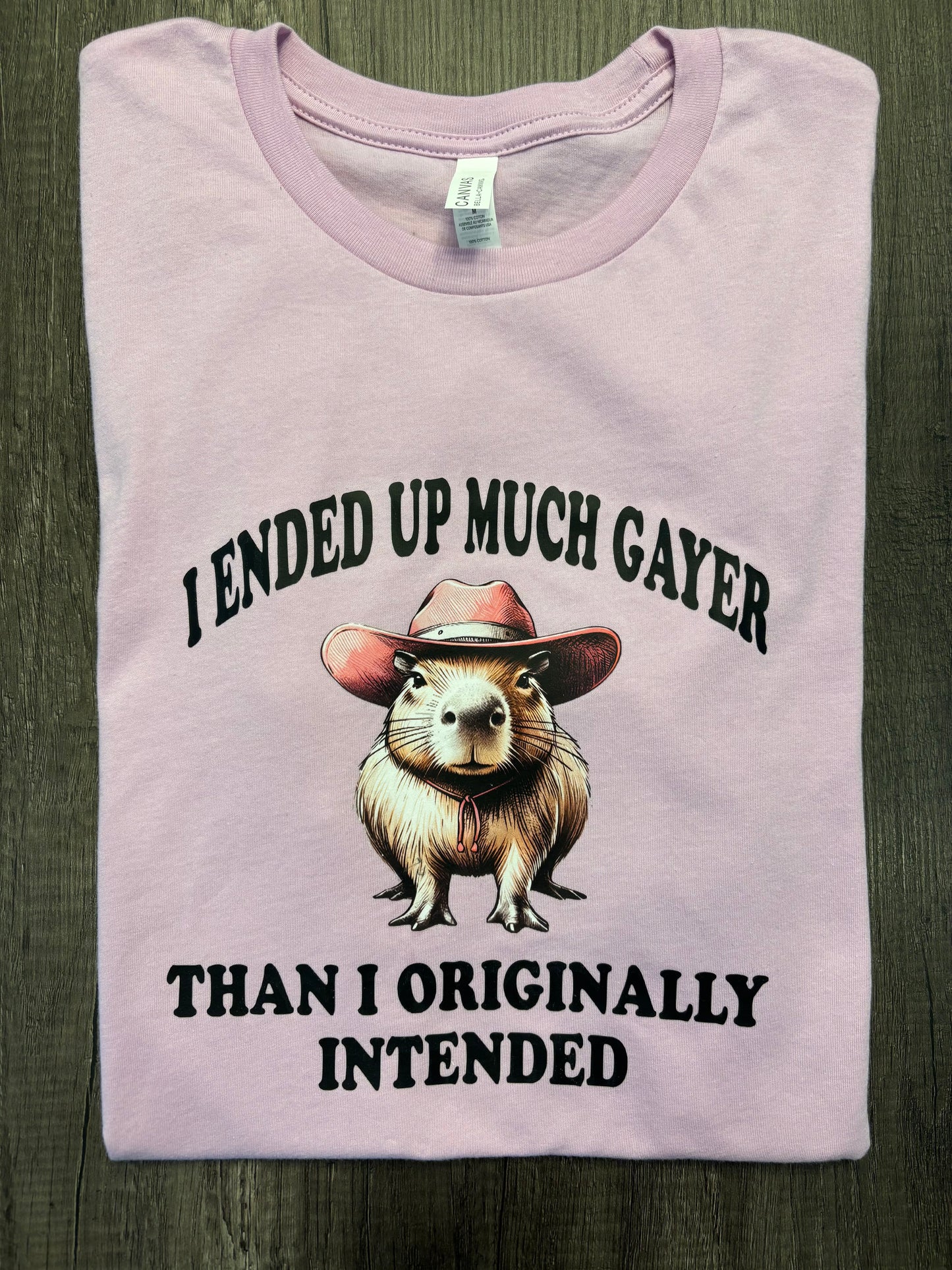I ENDED UP A LOT GAYER THAN ORIGINALLY INTENDED SHIRT