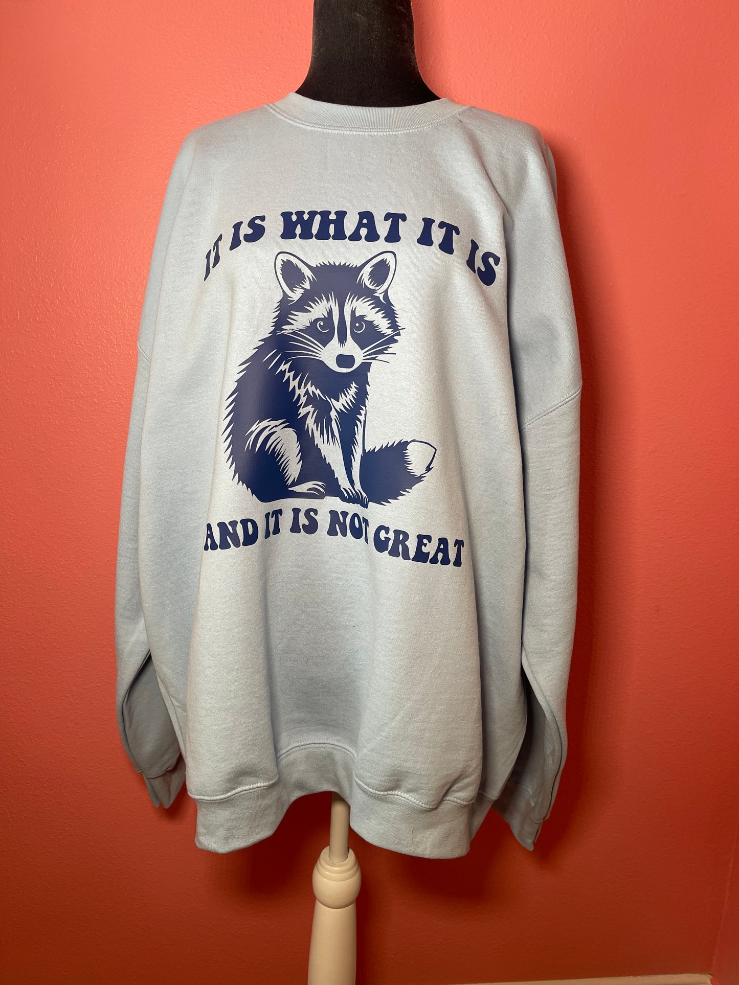 IT IS WHAT IT IS AND IT IS NOT GREAT SHIRT