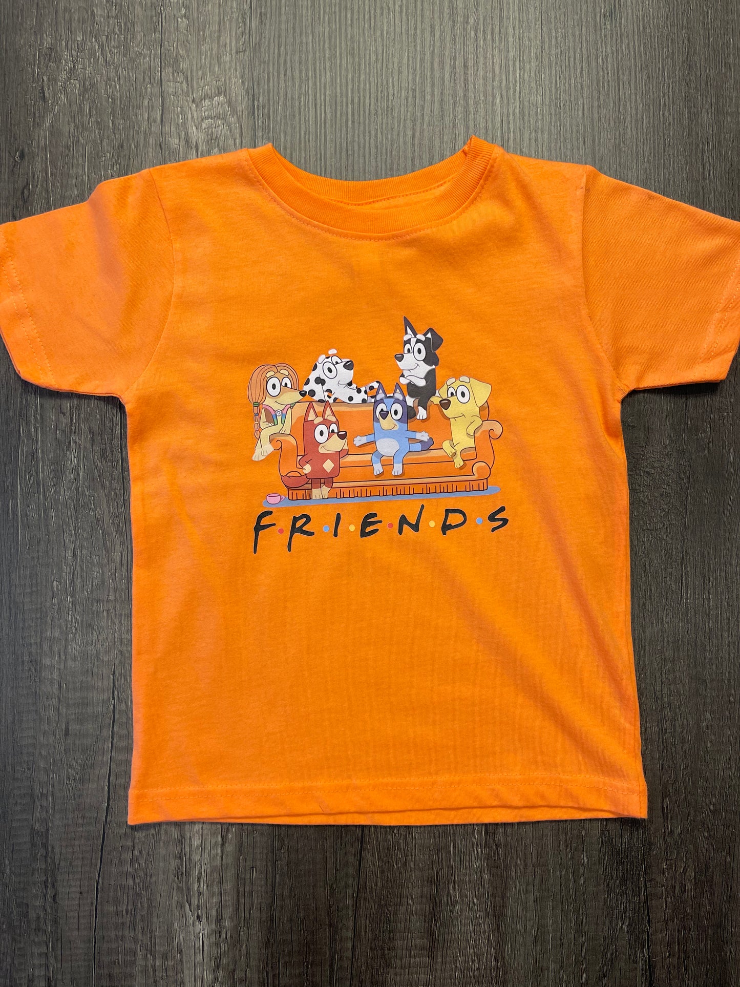 BLUEY FRIENDS KIDS SHIRT
