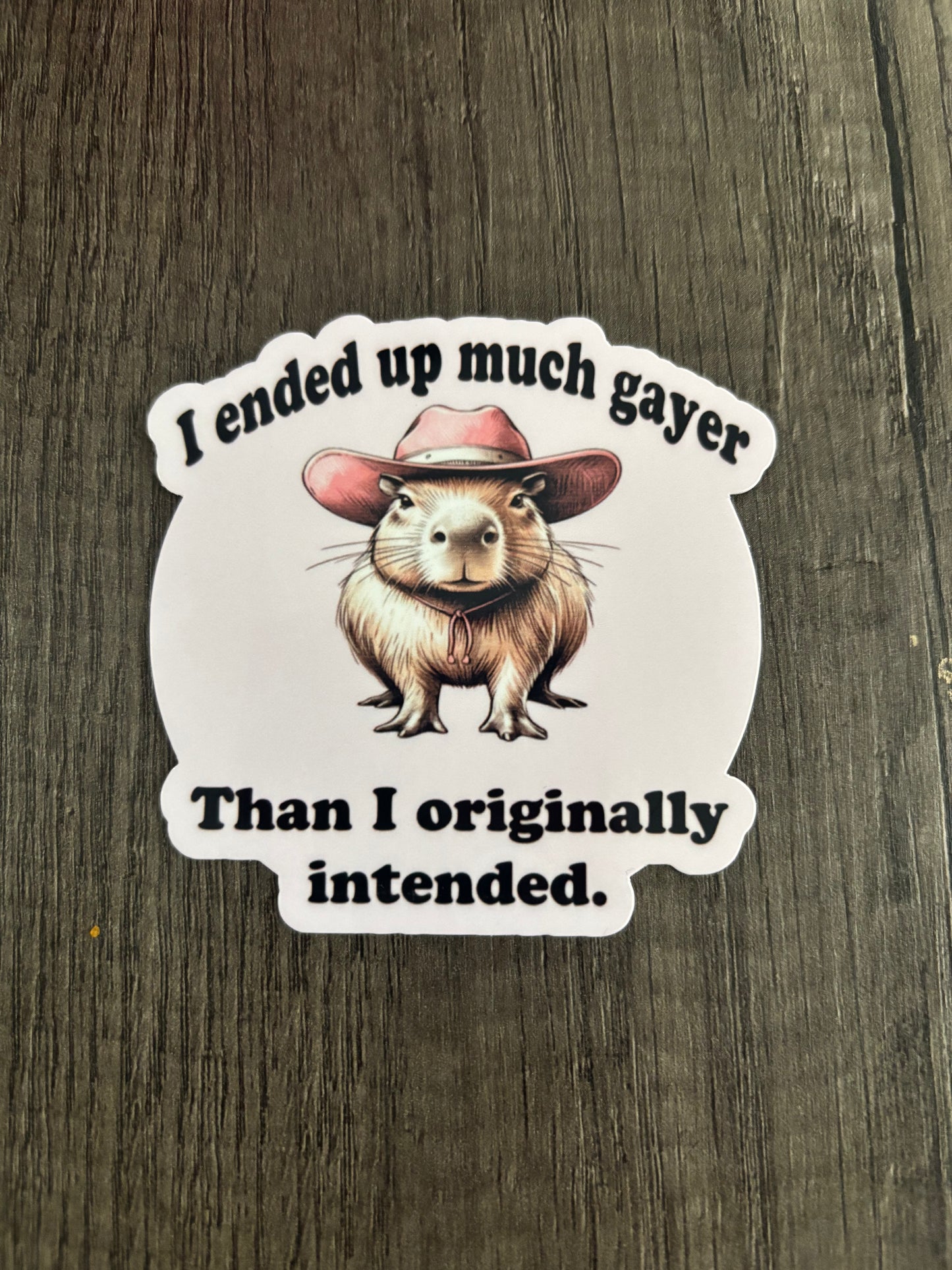 MUCH GAYER THAN ORIGINALLY PLANNED STICKER