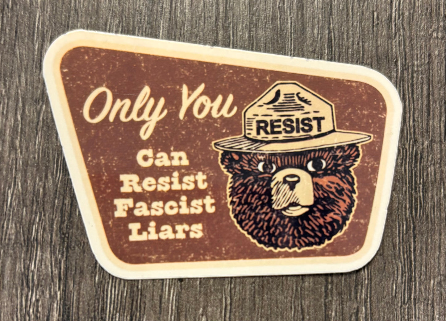 ONLY YOU CAN RESIST FASCIST LIARS STICKER