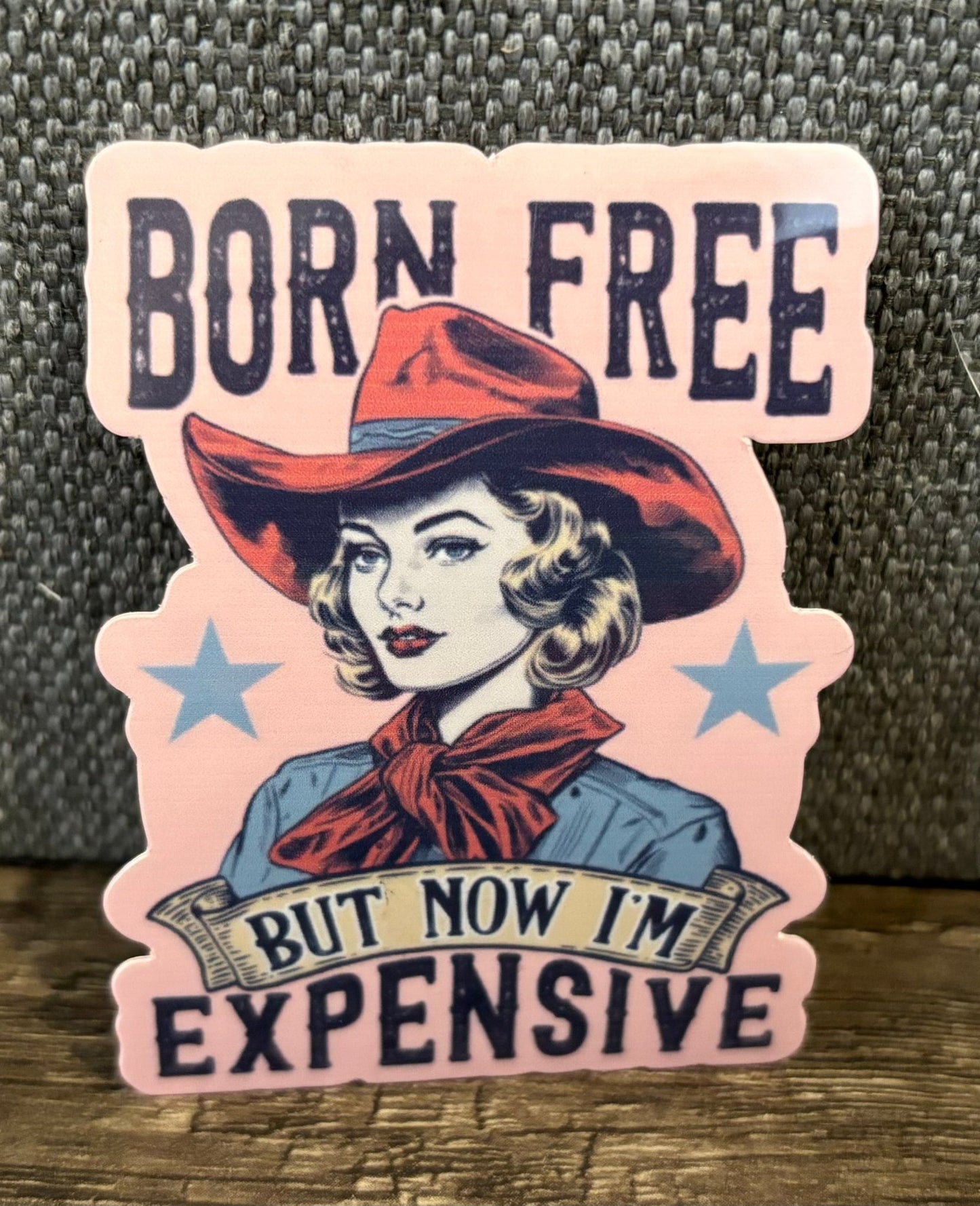 BORN FREE, NOW I’M EXPENSIVE STICKER - FrankieDeLeonDesigns