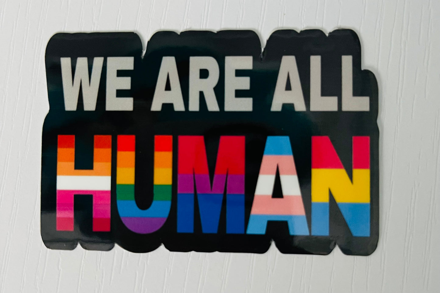 We Are All Human Pride Flag Sticker