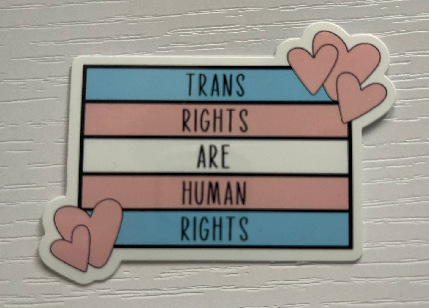 Trans Rights are Human Rights Sticker