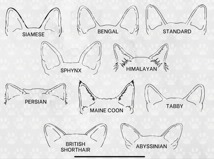 Personalized Dog T-shirt