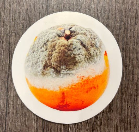 ROTTEN ORANGE STICKER