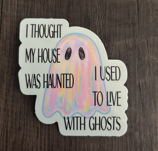 I THOUGHT MY HOUSE WAS HAUNTED STICKER