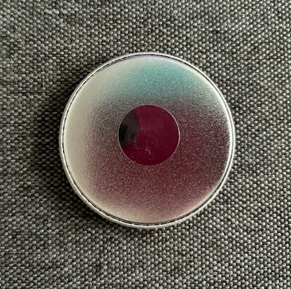 I CHOOSE THE BEAR MAGNET