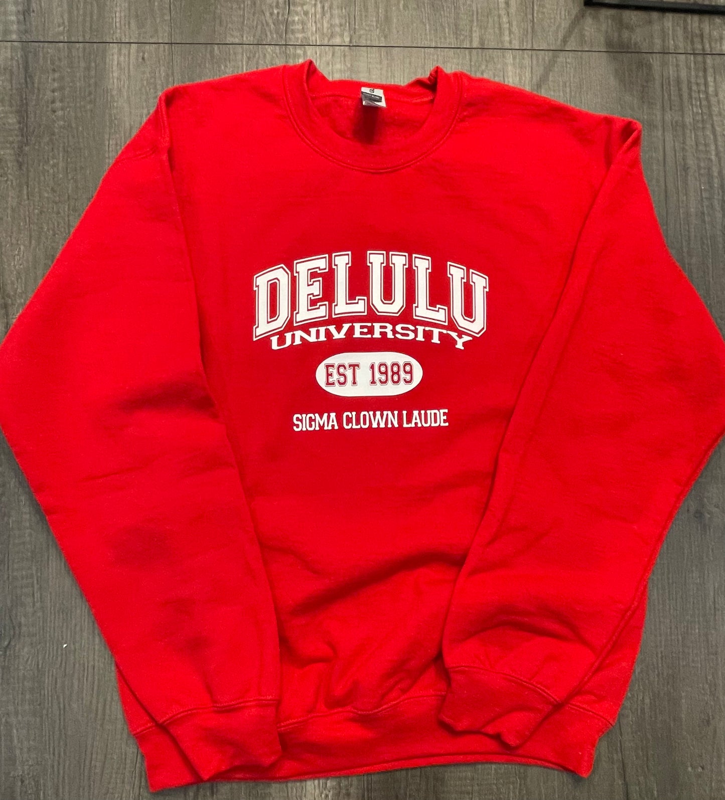 DELULU UNIVERSITY SHIRT