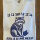 IT IS WHAT IT IS AND IT IS NOT GREAT SHIRT