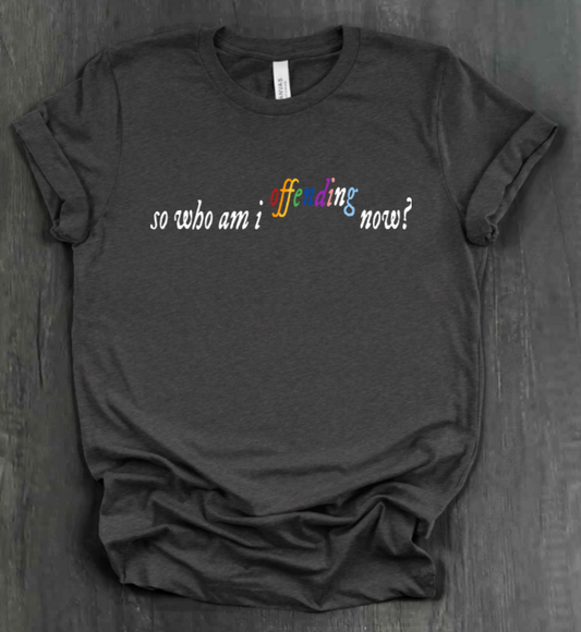 SO WHO AM I OFFENDING NOW? SHIRT