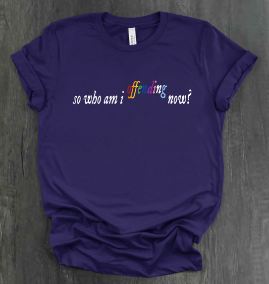 SO WHO AM I OFFENDING NOW? SHIRT