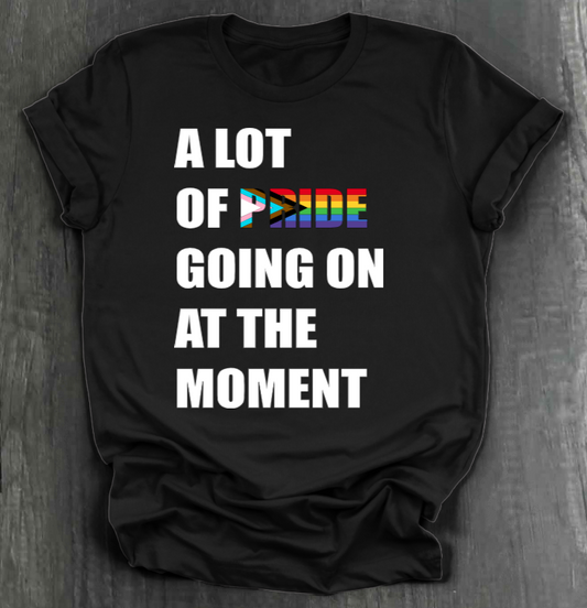 A LOT OF PRIDE GOING ON AT THE MOMENT SHIRT