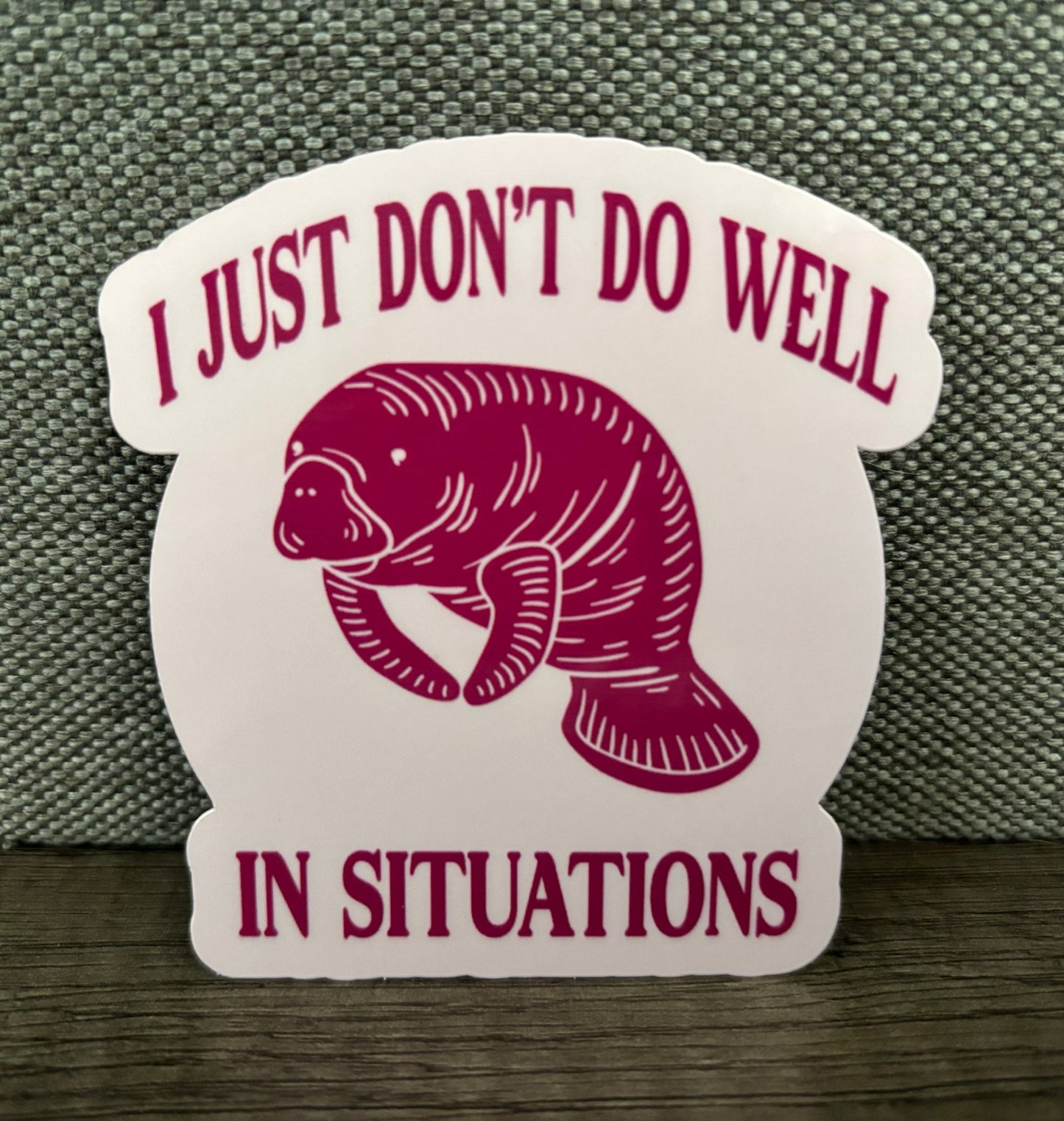 I JUST DON’T DO WELL IN SITUATIONS STICKER - FrankieDeLeonDesigns