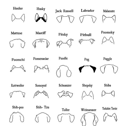 Personalized Dog T-shirt