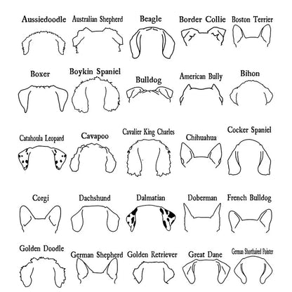 Personalized Dog T-shirt