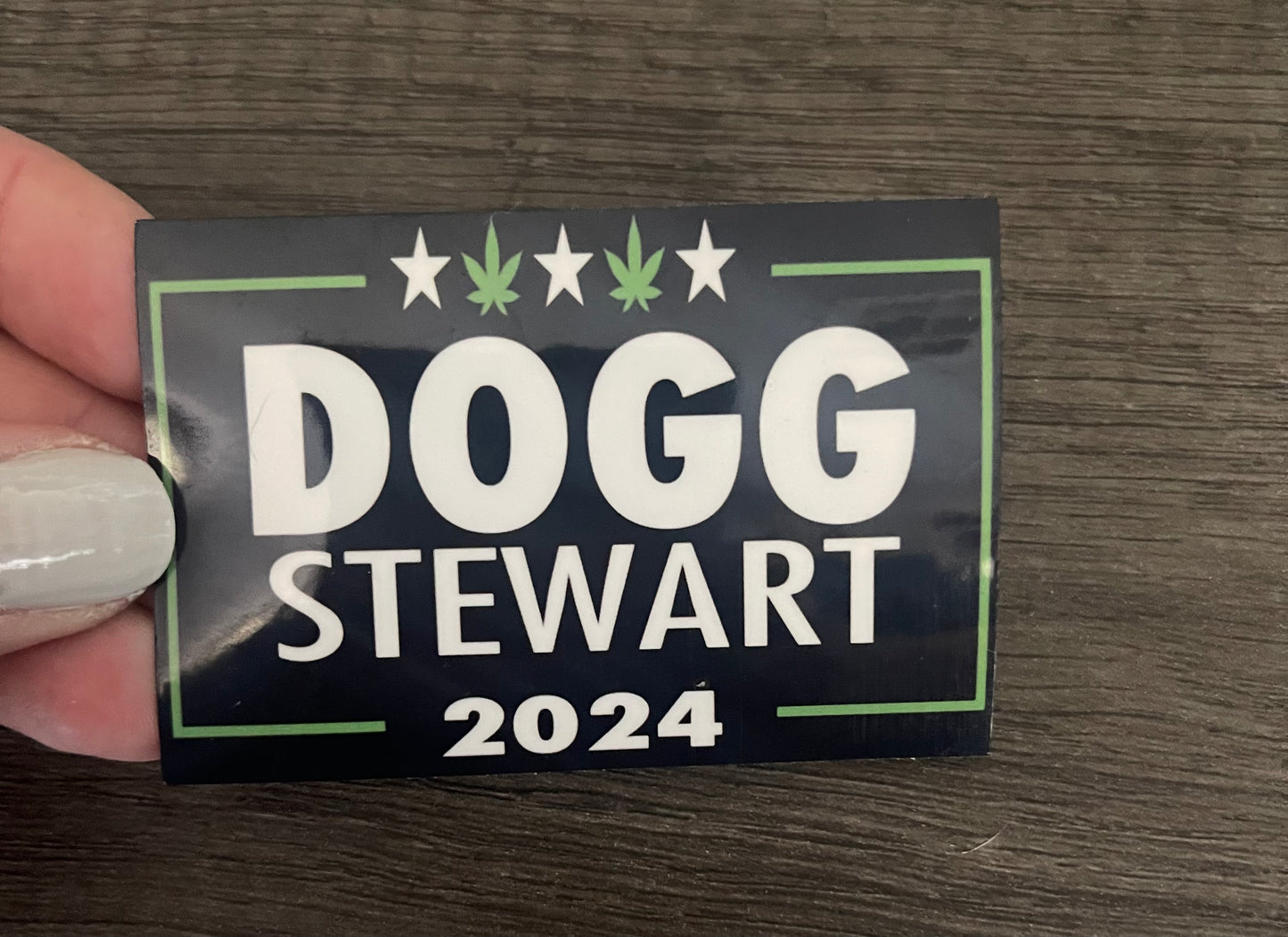 Dogg/Stewart 2024 Campaign Sticker